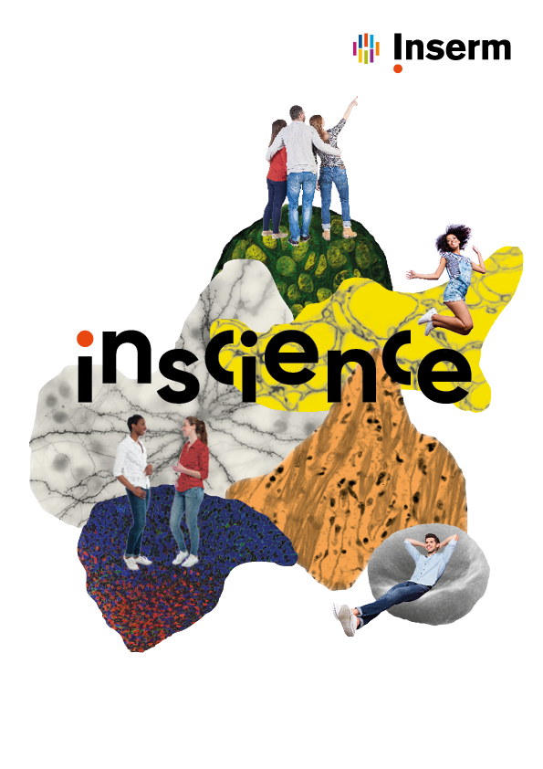 Effet Du Speed Sur Le Cerveau [ InScience ] Speed meeting sur la santé et la médecine | Terre des