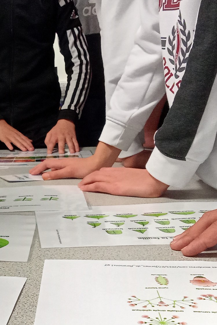 Animation découverte des métiers du végétal