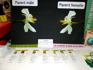 Forum de l'orientation 2025