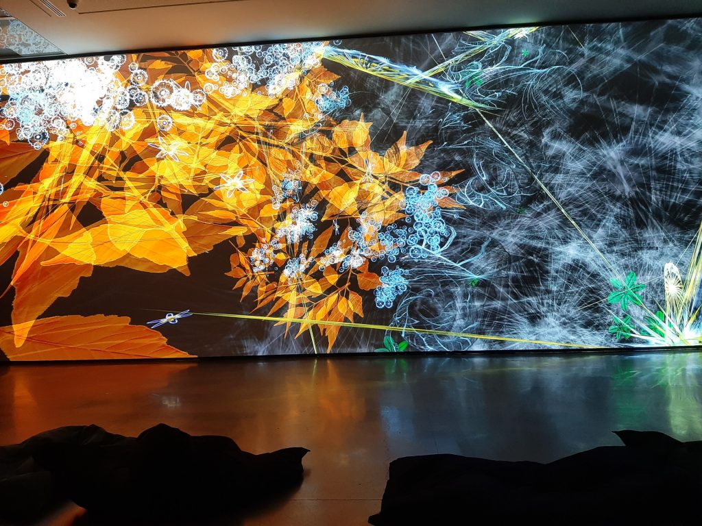 Sciences dessus-dessous BotanIA