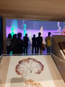 Sciences dessus-dessous BotanIA