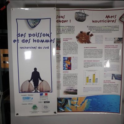 Des poissons et des hommes (10)