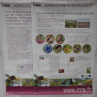 Agriculture et biodiversité (67)