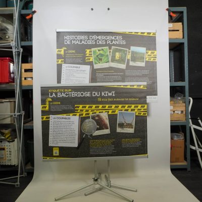 Histoires d'émergence des maladies des plantes