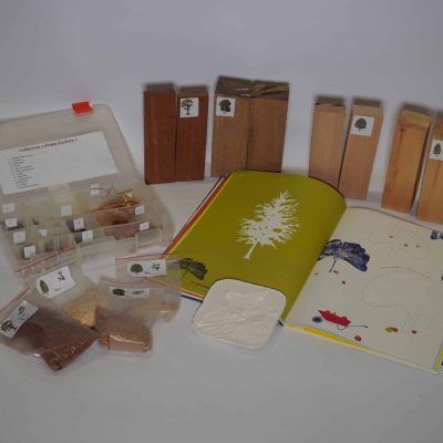 M61 Découvrir les arbres