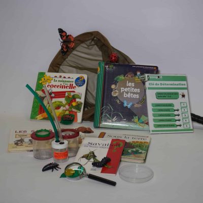 M65 C'est quoi une petite bête ?