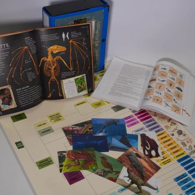 La phylo-malle, comprendre et pratiquer la classification des être vivants (73 bis)