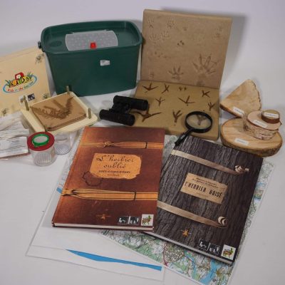 Le bocage : à la découverte des haies, des mares et des prairies