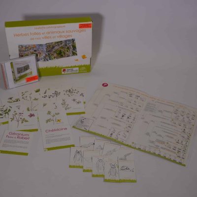 Herbes folles et animaux sauvages de nos villes et villages