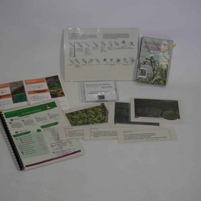 Botanistes en herbe : à la découverte des "sauvages de ma rue" (82)