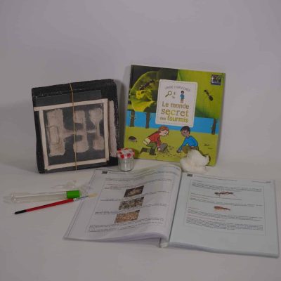 Les petites bêtes à la loupe : mettre en place un élevage (fourmis) (87 bis)