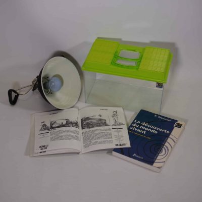 Les petites bêtes à la loupe : mettre en place un élevage (multi-élevage)